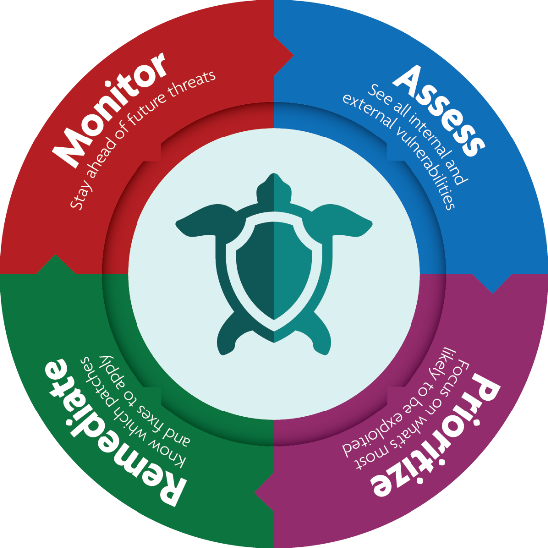 CS Vulnerability Circle